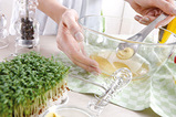 Vinaigrette_Senf_284px.jpg